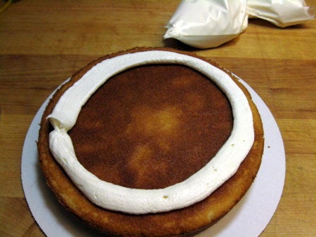 ring-of-icing.jpg