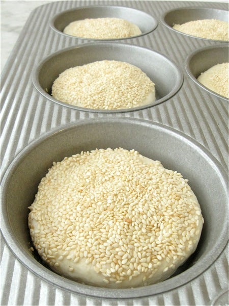 IMG_2379