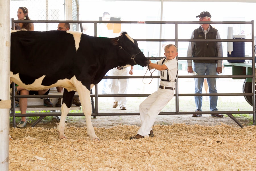 NY County Fair-16