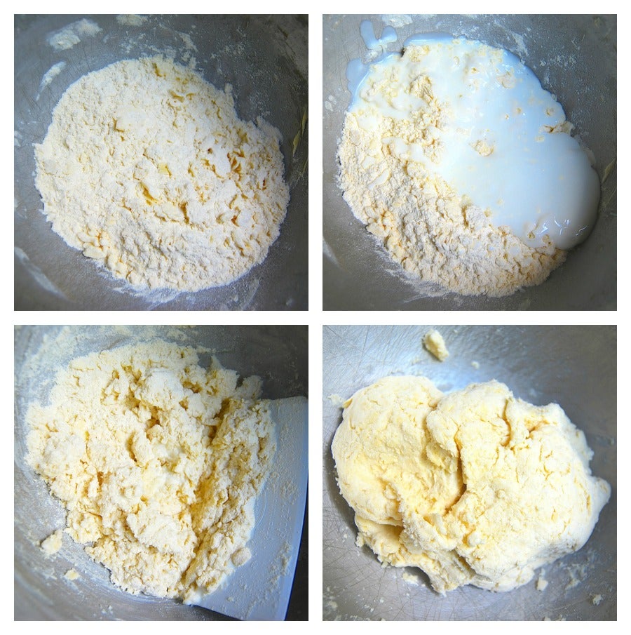 biscuitdoris