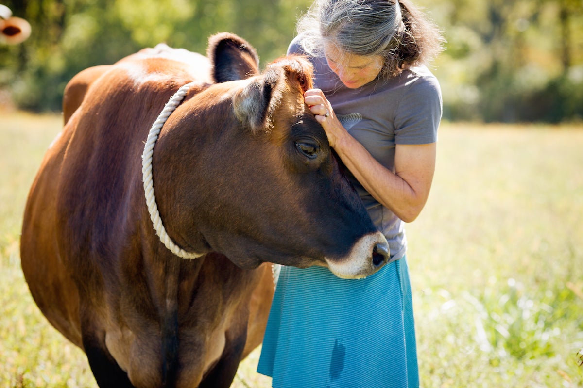 Sift Farm via @kingarthurflour
