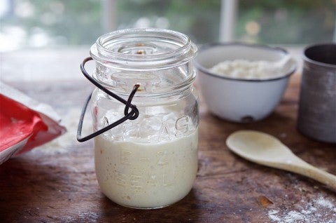 Sourdough Starter - select to zoom