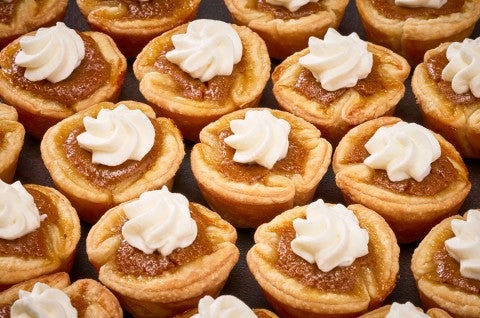 Mini Pumpkin Pies arranged on a counter - select to zoom