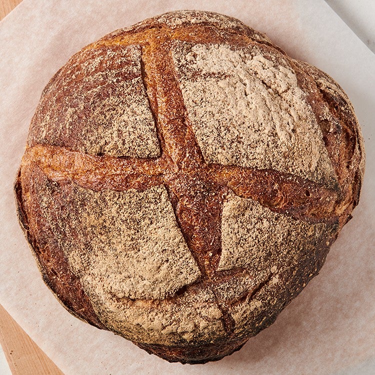 Harpoon Miche